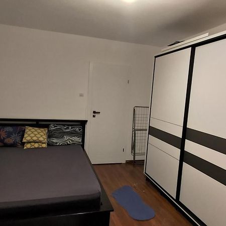 Studio Leo Iasi Bagian luar foto