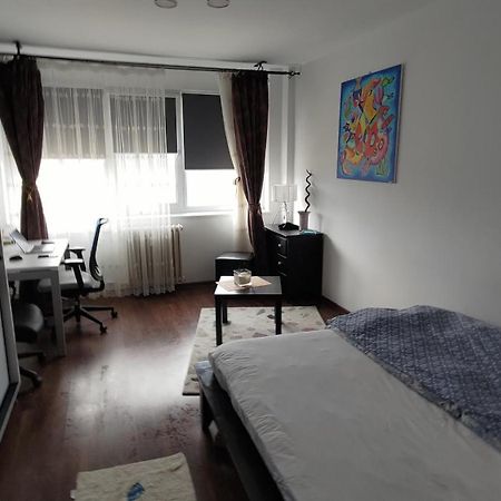 Studio Leo Iasi Bagian luar foto